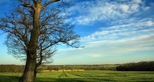 Eaton Bray
