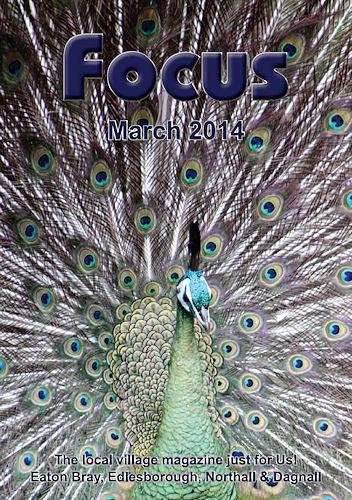 Focus Magazine, March 2014