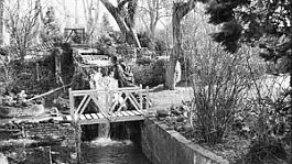 Watermill & Millhouse garden, 1999